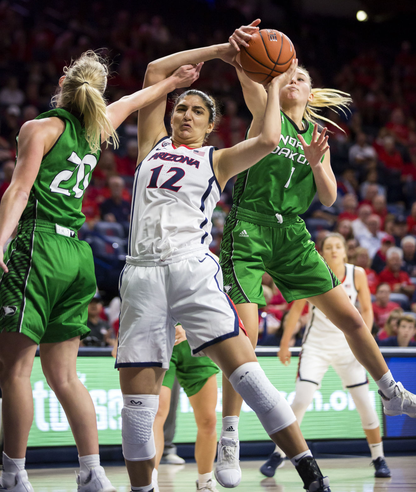 Arizona Wildcats Women's Basketball